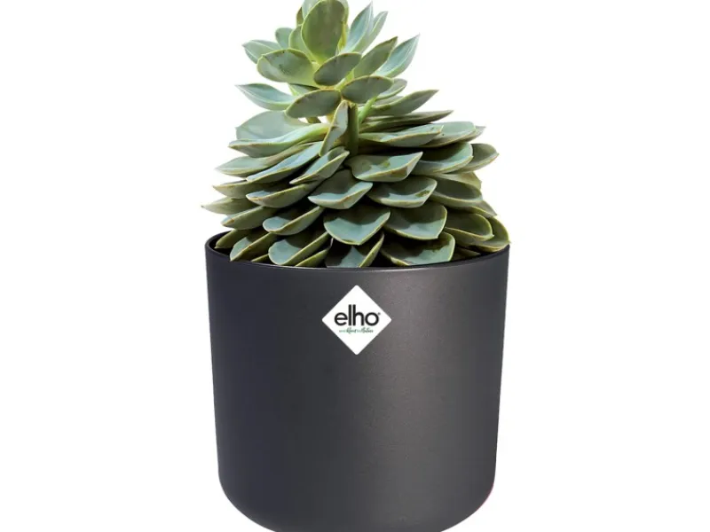 New Elho Blumentopf B.For Soft Rund Ø 34,5 cm Anthrazit
