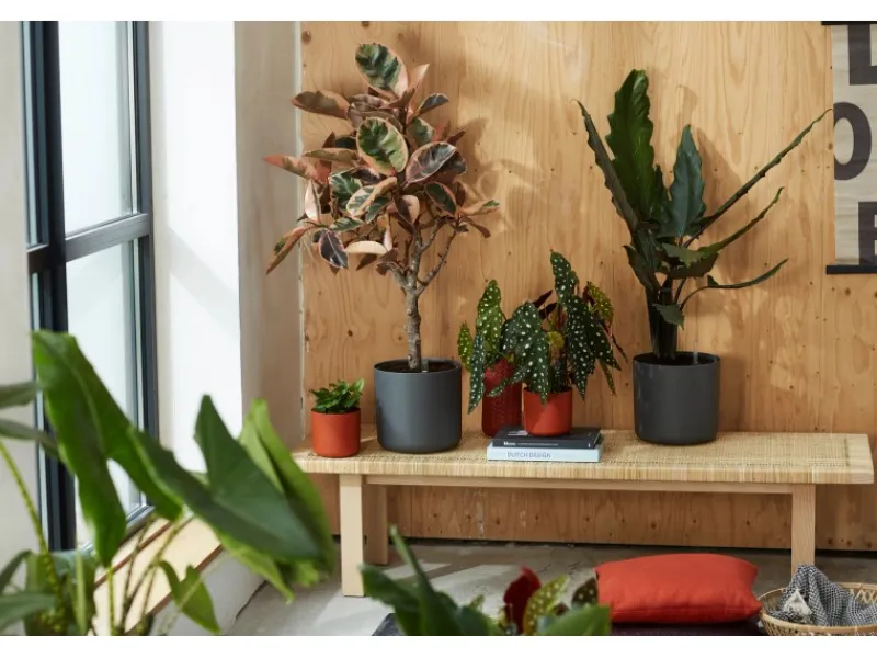 New Elho Blumentopf B.For Soft Rund Ø 34,5 cm Anthrazit