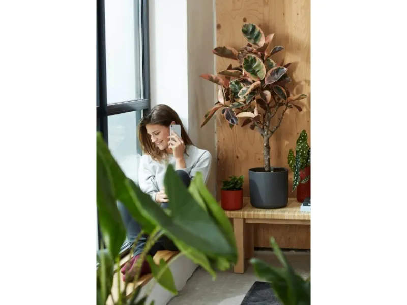 New Elho Blumentopf B.For Soft Rund Ø 34,5 cm Anthrazit