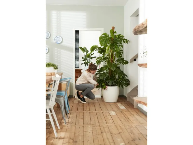 Discount Elho Blumentopf Brussels Rund mit Rollen Ø 47 cm Weiß