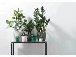 Clearance Elho Blumentopf Brussels Rund Mini Ø 7 Weiß