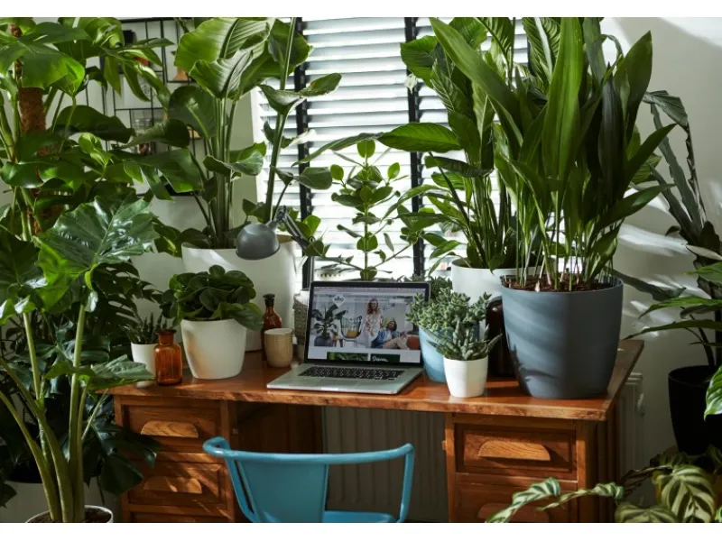Elho Töpfe<Blumentopf Brussels Rund Ø 14