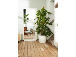 Elho Töpfe<Blumentopf Brussels Rund mit Rollen Ø 35