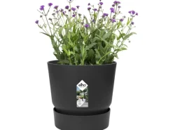Elho Töpfe<Blumentopf Greenville Rund 14 cm Living