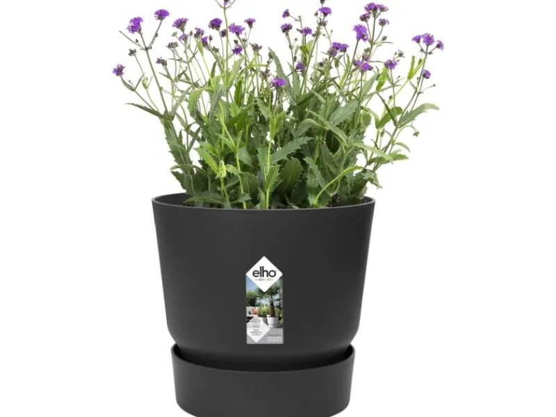 Elho Töpfe<Blumentopf Greenville Rund 14 cm Living