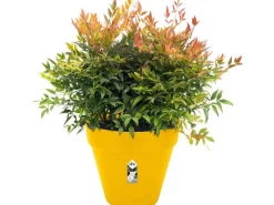 Outlet Elho Blumentopf Loft Urban Rund mit Rollen Ø 38,5 cm Ocker