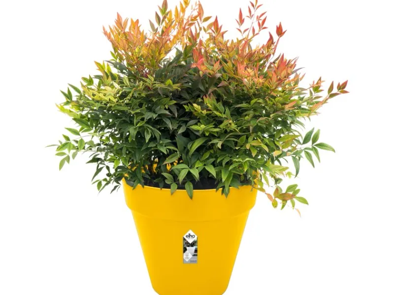 Outlet Elho Blumentopf Loft Urban Rund mit Rollen Ø 38,5 cm Ocker