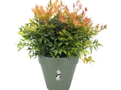 Elho Blumentopf Loft Urban Rund mit Rollen Ø 48,5 cm< Töpfe