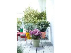 Elho Blumentopf Loft Urban Rund mit Rollen Ø 48,5 cm< Töpfe