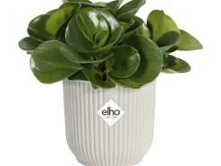 Elho Töpfe<Blumentopf Mini Vibes  Ø11 cm