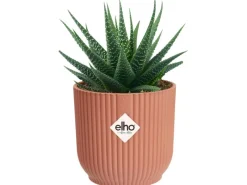 Online Elho Blumentopf Mini Vibes  Ø 9 cm Zartrosa