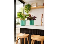 Elho Blumentopf Ocean Collection Ø 14 cm< Töpfe