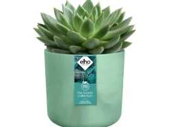 Elho Blumentopf Ocean Collection Ø 14 cm< Töpfe