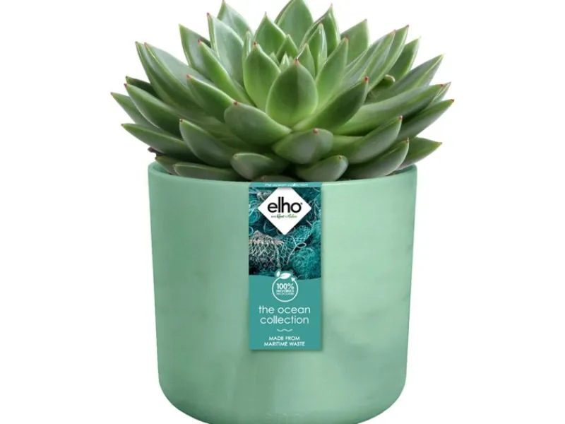 Elho Blumentopf Ocean Collection Ø 18 cm< Töpfe