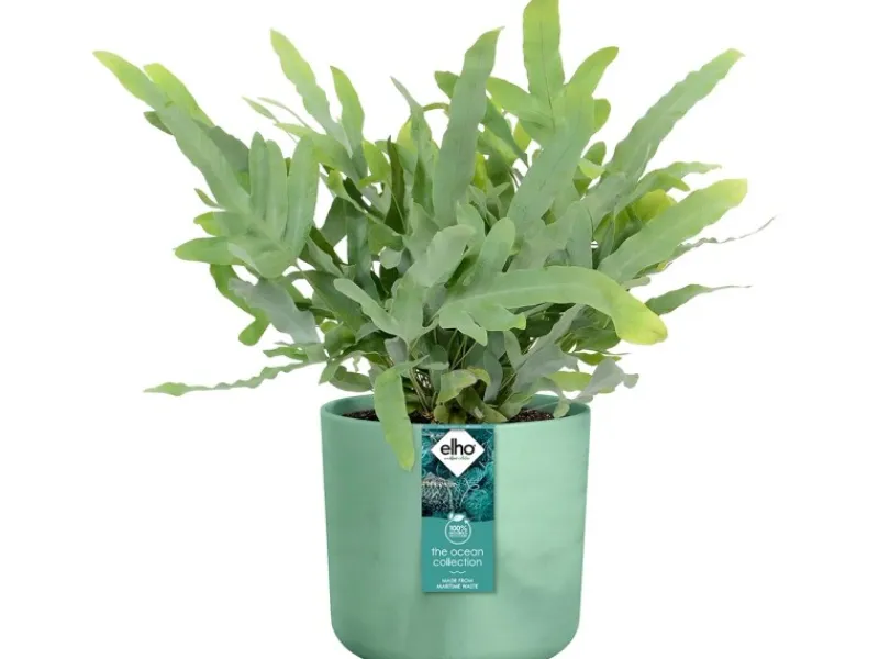 Elho Blumentopf Ocean Collection Ø 18 cm< Töpfe