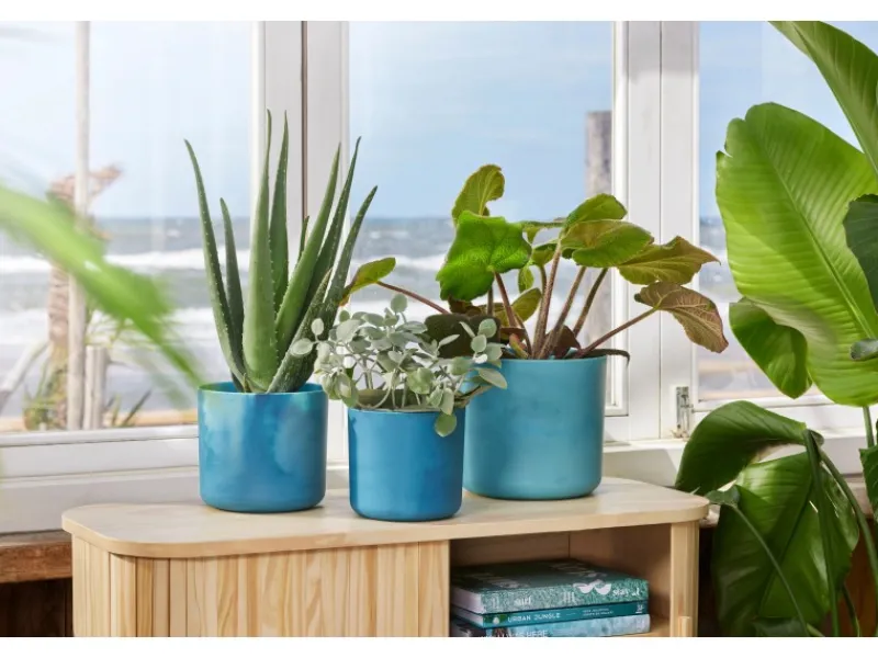Elho Blumentopf Ocean Collection Ø 18 cm< Töpfe