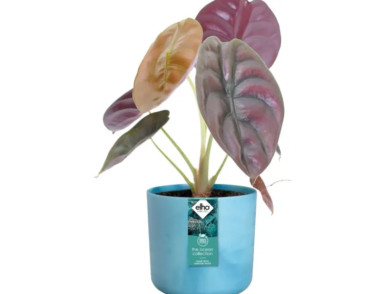 New Elho Blumentopf Ocean Collection Ø 14 cm Atlantikblau