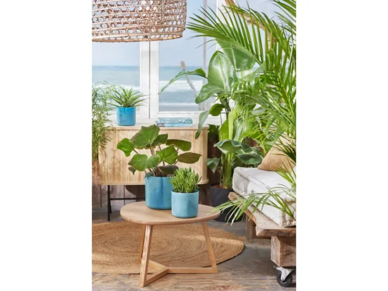 Sale Elho Blumentopf Ocean Collection Ø 18 cm Atlantikblau