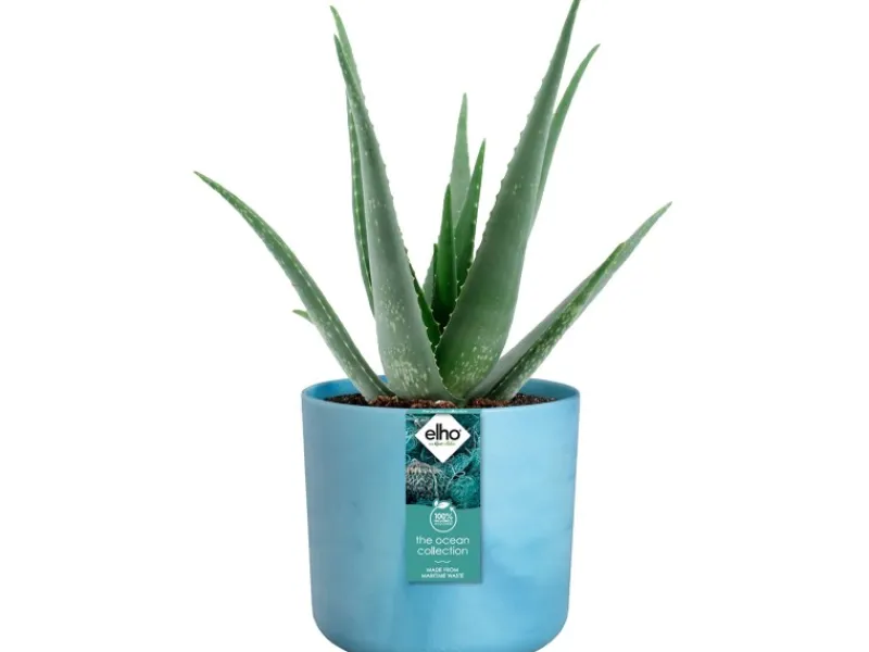 Sale Elho Blumentopf Ocean Collection Ø 18 cm Atlantikblau