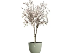 Elho Töpfe<Blumentopf Sereh Ø 47 cm x 40 cm