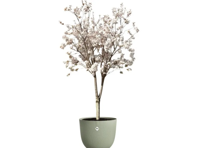 Elho Töpfe<Blumentopf Sereh Ø 47 cm x 40 cm