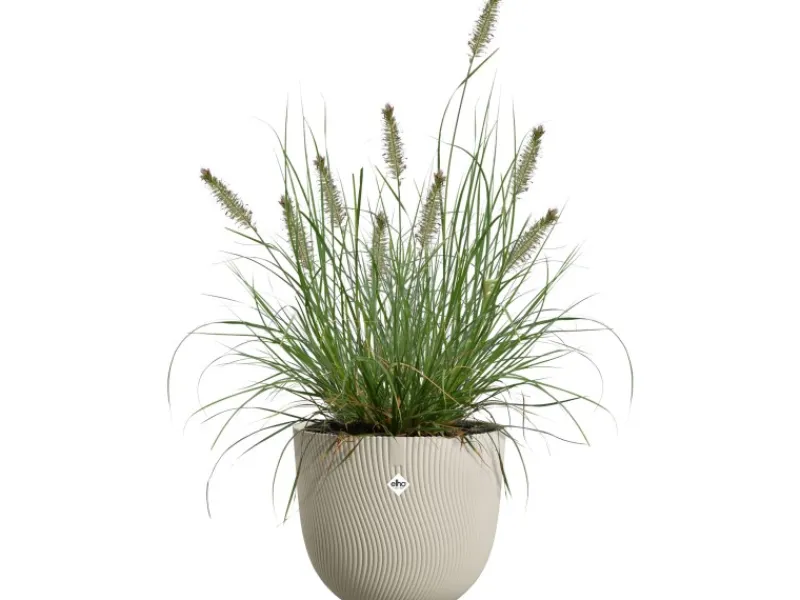 Elho Töpfe<Blumentopf Sereh Ø 30 cm x 25 cm