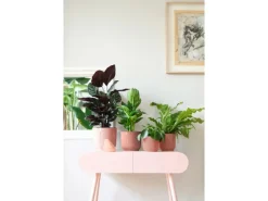 Elho Blumentopf Vibes Fold Ø 14 cm x 13 cm< Töpfe