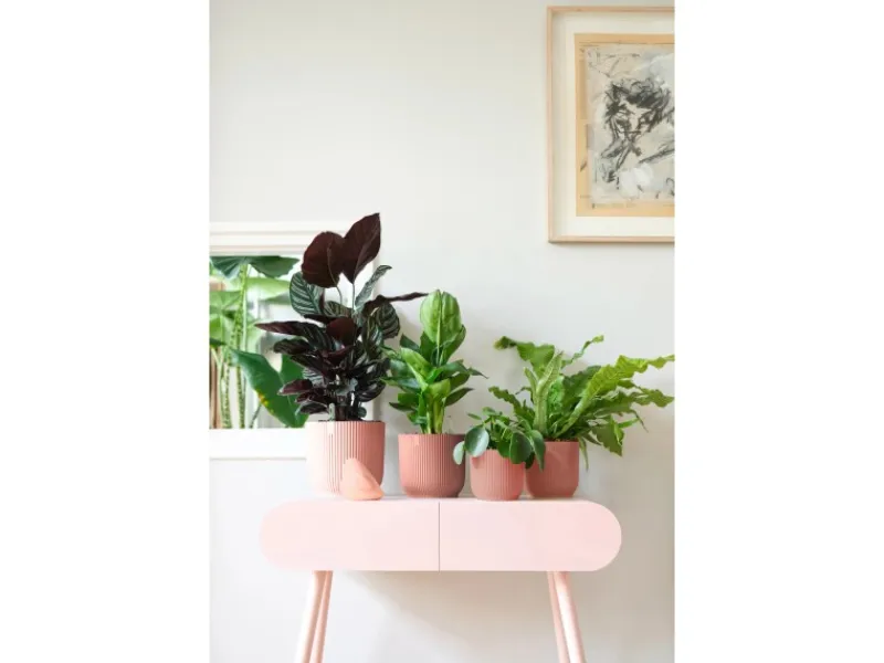 Elho Blumentopf Vibes Fold Ø 14 cm x 13 cm< Töpfe