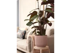 Online Elho Blumentopf Vibes Fold Ø 30 cm Zartrosa