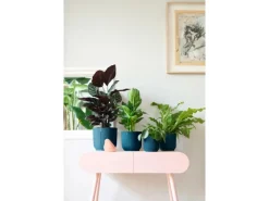 Elho Blumentopf Vibes Fold Ø 14 cm x 13 cm< Töpfe