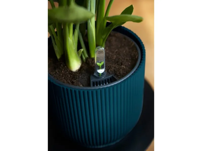 Elho Blumentopf Vibes Fold Ø 18 cm x 17 cm< Töpfe