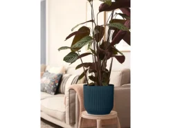 Elho Blumentopf Vibes Fold Ø 30 cm< Töpfe