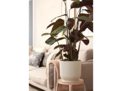 Elho Töpfe<Blumentopf Vibes mit Rollen Ø 34,9 cm