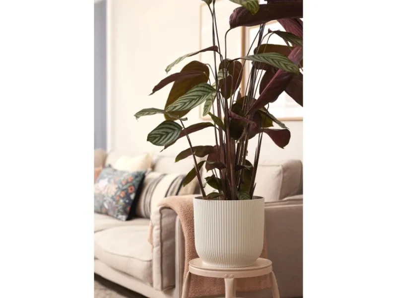 Elho Töpfe<Blumentopf Vibes mit Rollen Ø 34,9 cm