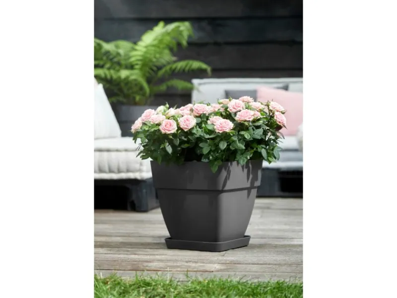 Elho Blumentopf Vibia Campana Viereckig 30 cm x 30 cm x 28 cm< Töpfe