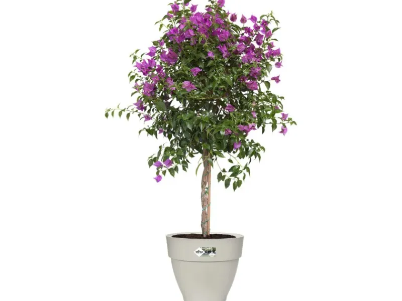 Elho Töpfe<Blumentopf Vibia Campana Ø 47 cm Seidenweiß