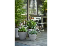 Clearance Elho Blumentopf Vibia Campana Ø 30 cm x 26 cm Living Beton Betongrau