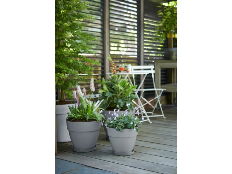 Clearance Elho Blumentopf Vibia Campana Ø 30 cm x 26 cm Living Beton Betongrau