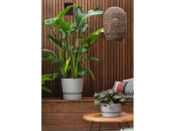 Discount Elho Pflanzgefäß Greenville rund Ø 47 Weiß