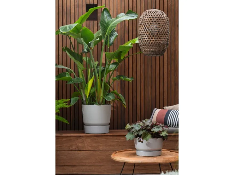 Discount Elho Pflanzgefäß Greenville rund Ø 47 Weiß