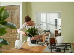 Elho Töpfe<Selbstbewässerungs-System Ø 17 cm x 16 cm Schwarz