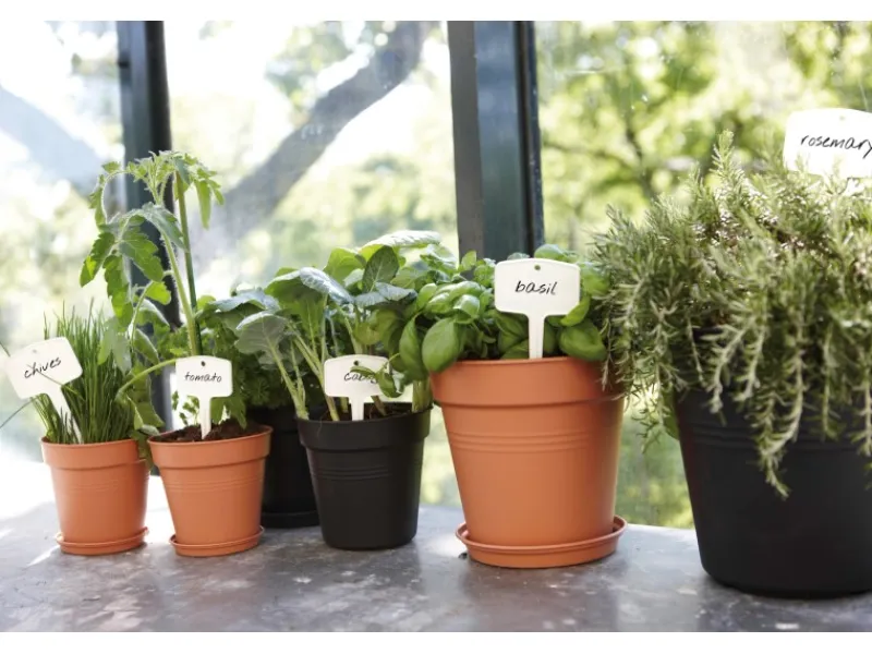 Elho Untersetzer Green Basics Ø 34 cm living< Töpfe