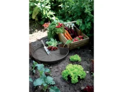 Elho Töpfe<Untersetzer Green Basics Ø 14 cm living