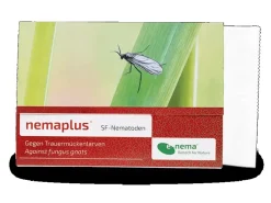 e-nema 3 Mio. SF-Nematoden gegen Trauermücken nemaplus< Töpfe
