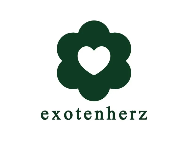 Töpfe<Exotenherz Kaffee Pflanze Coffea Arabica 1 Pflanze Zimmerpflanze