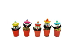 New Exotenherz Kakteen Mit Lustigem Sombrero
