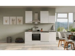 Flex-Well Classic Einbauküchen|Küchenschränke<Küchenzeile Lucca 220 cm Weiß matt - Caledonia