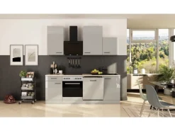 Flex-Well Exclusiv Einbauküchen<Küche 1701-017sWs Lund 220 cm Lichtgrau glänzend-Rauchgrau