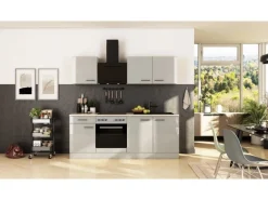 Flex-Well Exclusiv Küche 1601-005sWs Lund 210cm Lichtgrau glänzend -Rauchgrau< Einbauküchen
