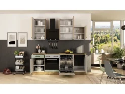 Online Flex-Well Exclusiv Küche 1701-017sWS Cara 220 cm Schilfgrün matt - Artisan Eiche